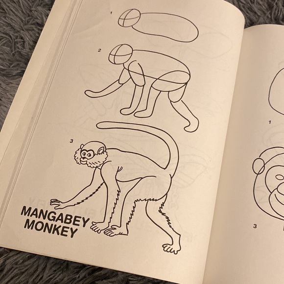 I Can Draw Animals BOOK - Picture 5 of 8